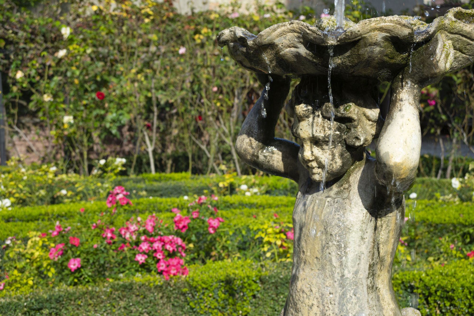 VENEZIA È UN GIARDINO DEI SUONI